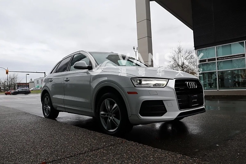 250219004554_图像 41.jpg